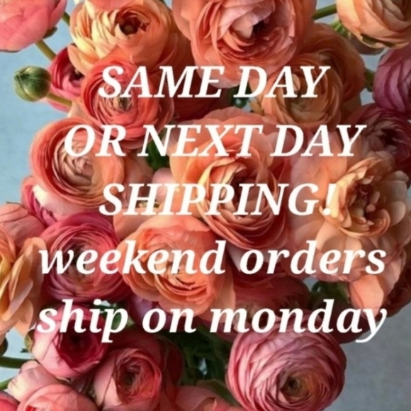 Pier 1 Imports Sari Throw with Metallic Accents. - Picture 8 of 8